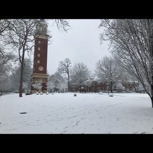 Meet your Posher, Abbey